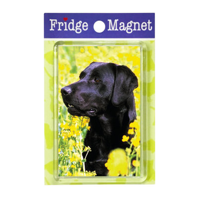 Fridge Magnet