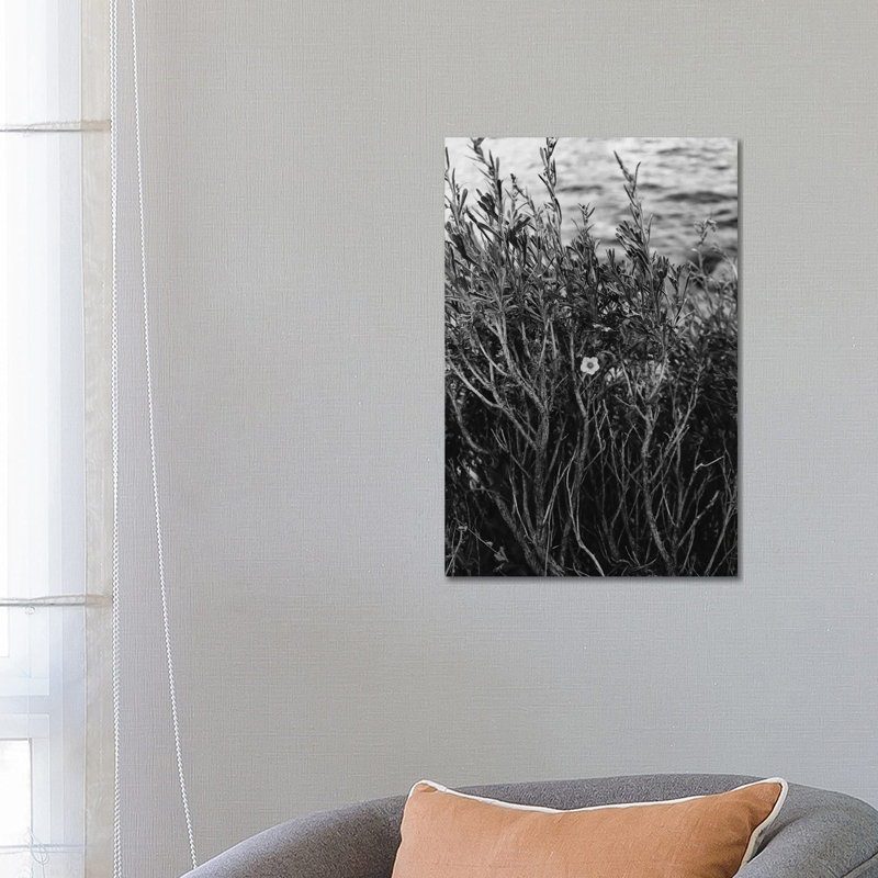 Tenaya Lake, Yosemite National Park II by Bethany Young - Print on Canvas, Wrapped Canvas, 66.04cm H x 45.72cm W x 3.81cm D