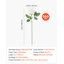 Rose Arrangement