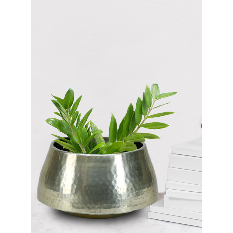 Mandeville Metal Pot Planter, 5" x 9" x 9"