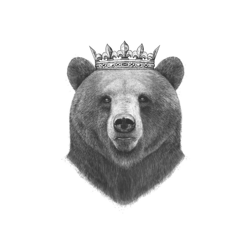 King Bear by Valeriya Korenkova - Wrapped Canvas Gallery-Wrapped Canvas Giclée, 30.48cm H x 20.32cm W x 1.9cm D