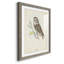 Little Owl Premium encadré mat - prêt à accrocher-314790212-314790213