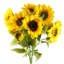 Plastic, Silk Artificial Arrangement-89222296