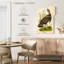 Dinde sauvage Brampt-108621122