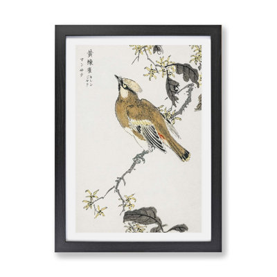 Waxwing Bird and Yellow Flowers by Numata Kashu - Framed Print