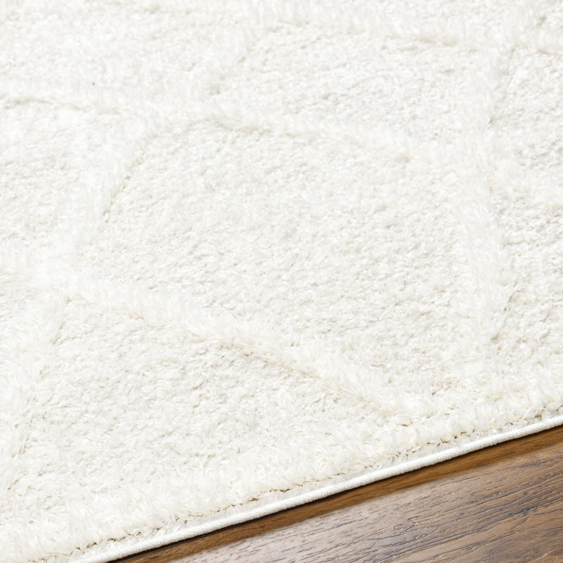 Coito Oriental Area Rug, Rectangle 200 x 275cm