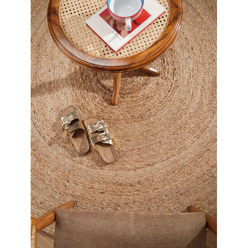 Anley Hand Woven Jute Eco-Friendly Solid Area Rugs - 4' x 4', Round, Beige Color, Contemporary Modern Design, Low Pile, Natural Fiber, Outdoor Indoor Handmade Area Rugs for Living Room, Bed Room
