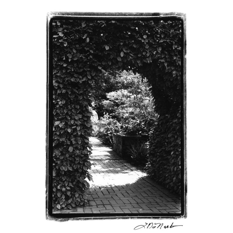 Garden Hideaway IV by Laura DeNardo - Wrapped Canvas Print, 46cm H x 30cm W