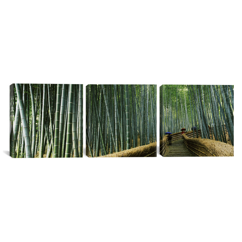 « bambou forest », reproduction de photo sur toile en vert, H 24 po x l 72 po x P 1,5 po