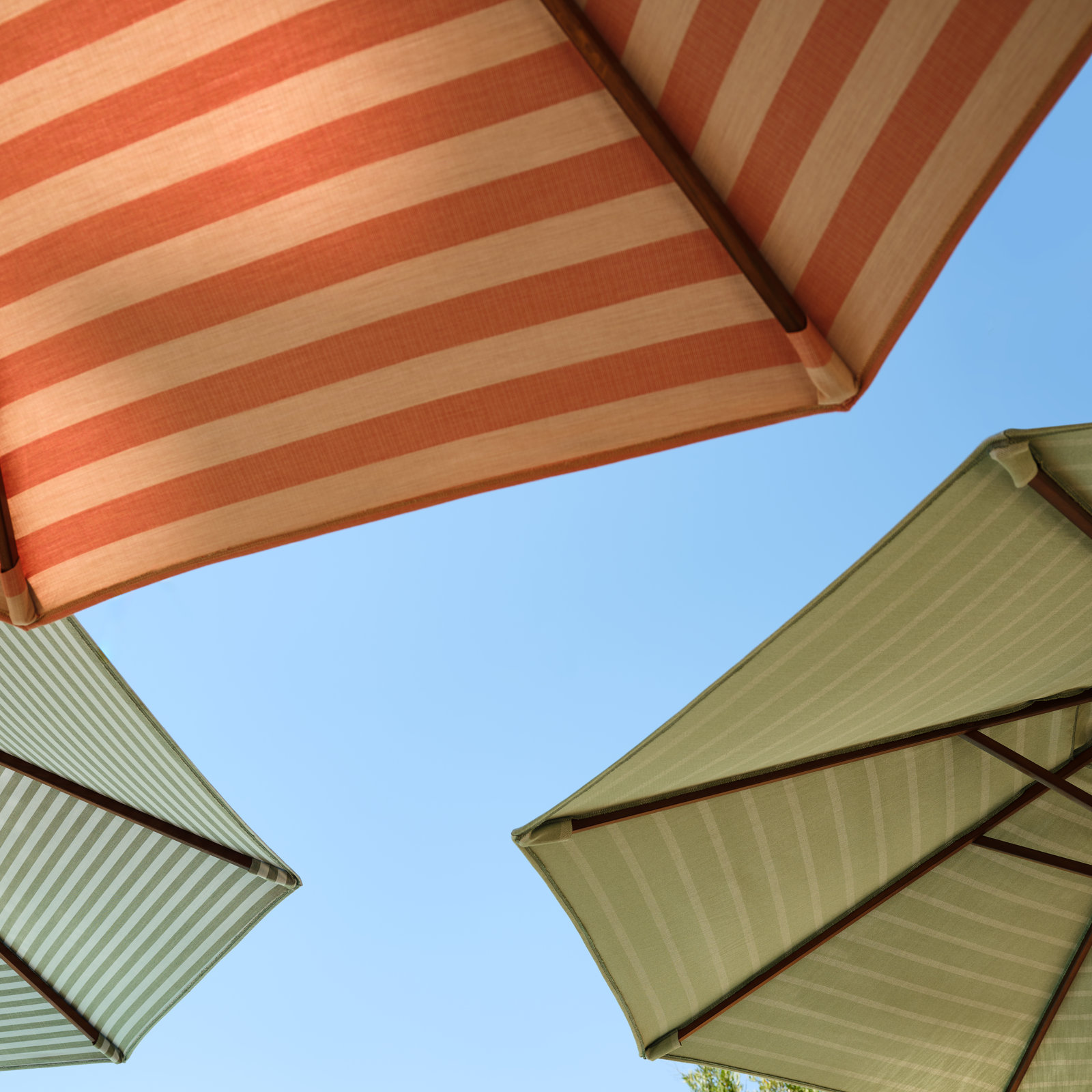 Manford 90'' Sunbrella® Outdoor Umbrella, Dolce Mango Stripe Sunbrella®