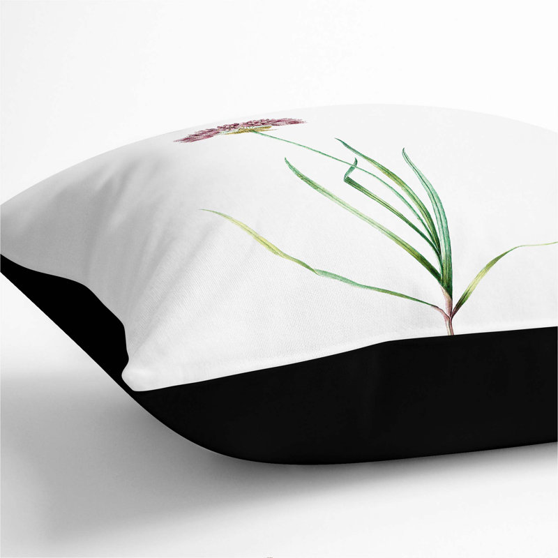 Square Throw Cushion, Black, 55cm H x 55cm W x 20cm D