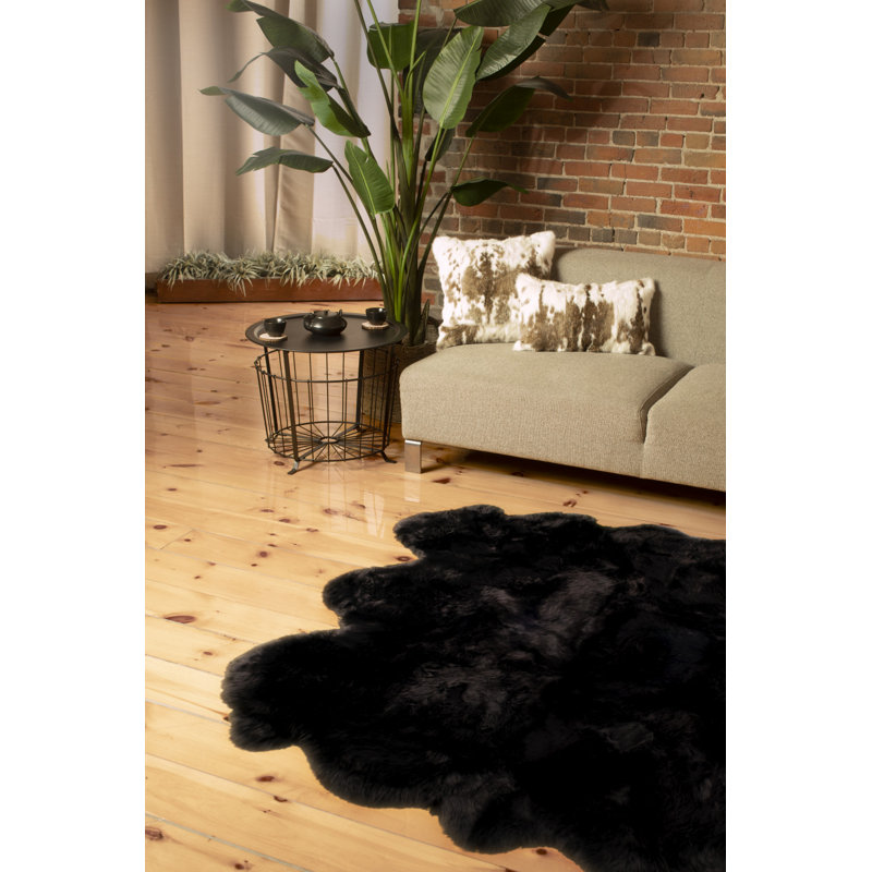 Tapis noir / brun Novelty, Nouveauté : 5 pi x 6 pi