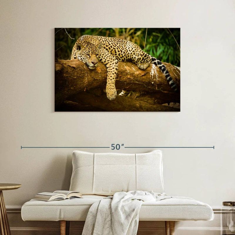 Brampt Pantanal Jaguar, H 26 po x l 39 po