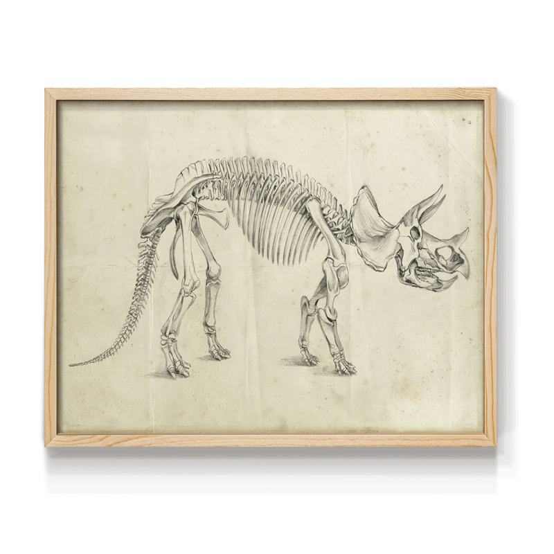«Dinosaur Study II», reproduction encadrée, H 8 po x l 10 po, Naturel