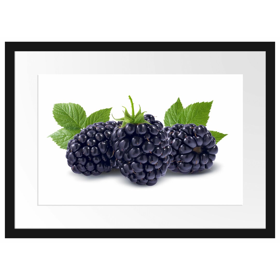 Gerahmtes Poster Leckere Brombeeren