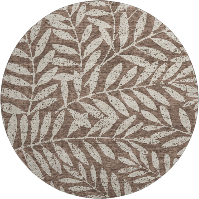 Premium Machine Washable Prisco Brown Rug