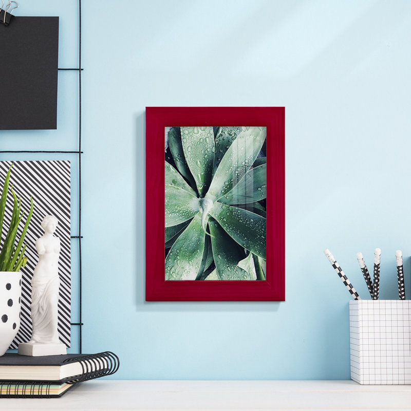 Vert succulent tropical vert III, Rouge, H 6 po x l 4 po x P 1 po