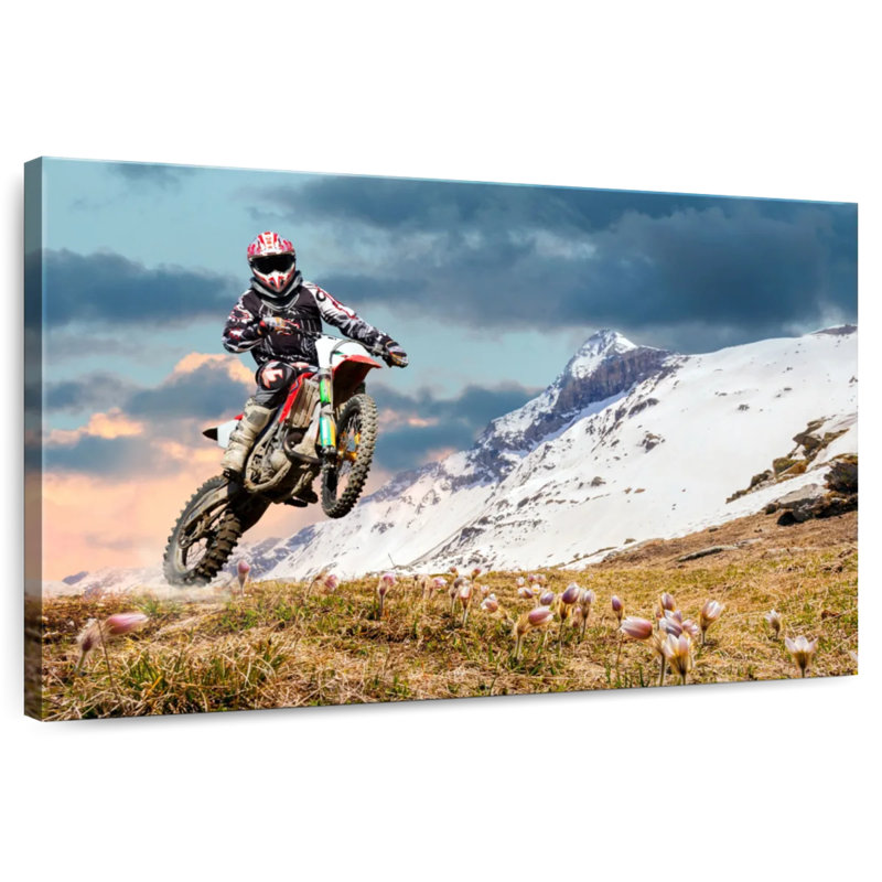 Sireci Alps Dirt Bike, 34" H x 51" W