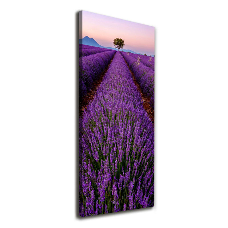 Lavender Field - Wrapped Canvas Print