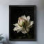 Reproduction d'art encadrée noire rétro "The unique Flower"-1581184521