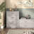 Breayla 15.7"H 2-Drawer Wooden Storage Bookcase-33076342