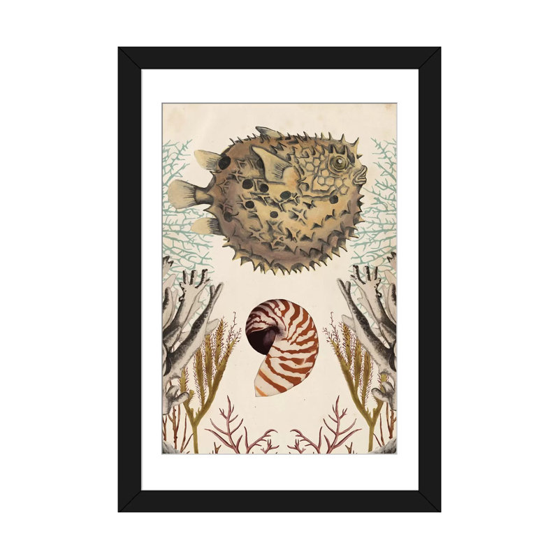 " Antiquarian Menagerie: Puffer Fish " by Naomi McCavitt, 24" H x 16" W x 1" D, Black Framed Fine Art Paper, White