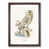 Walnut Framed selected