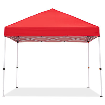 Auvent 8 x 8 pi avec moustiquaire et tente moustiquaire pour l'extérieur avec parois latérales en filet