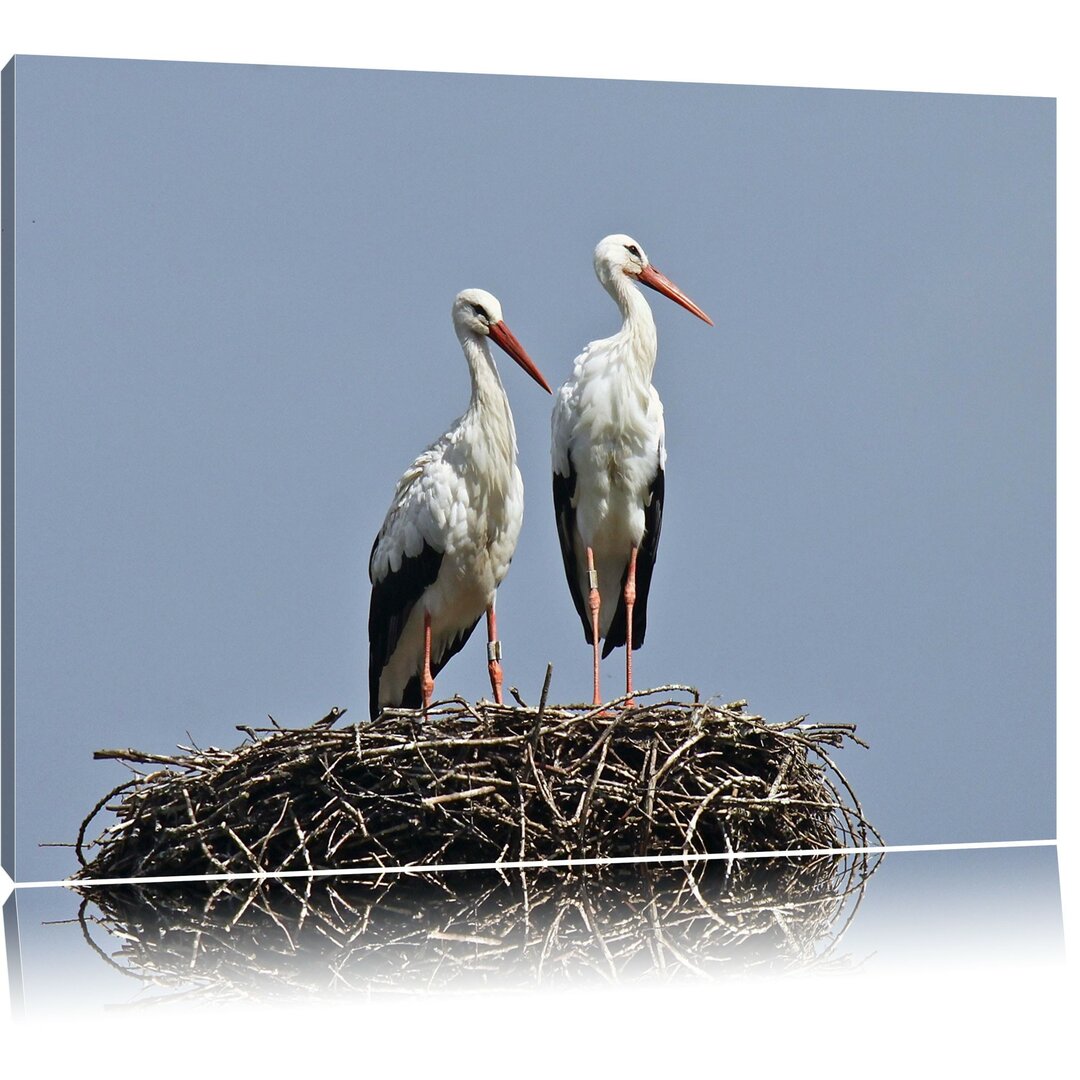 Leinwandbild Zwei stolze Störche im Nest