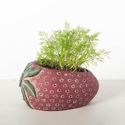 Cache pot