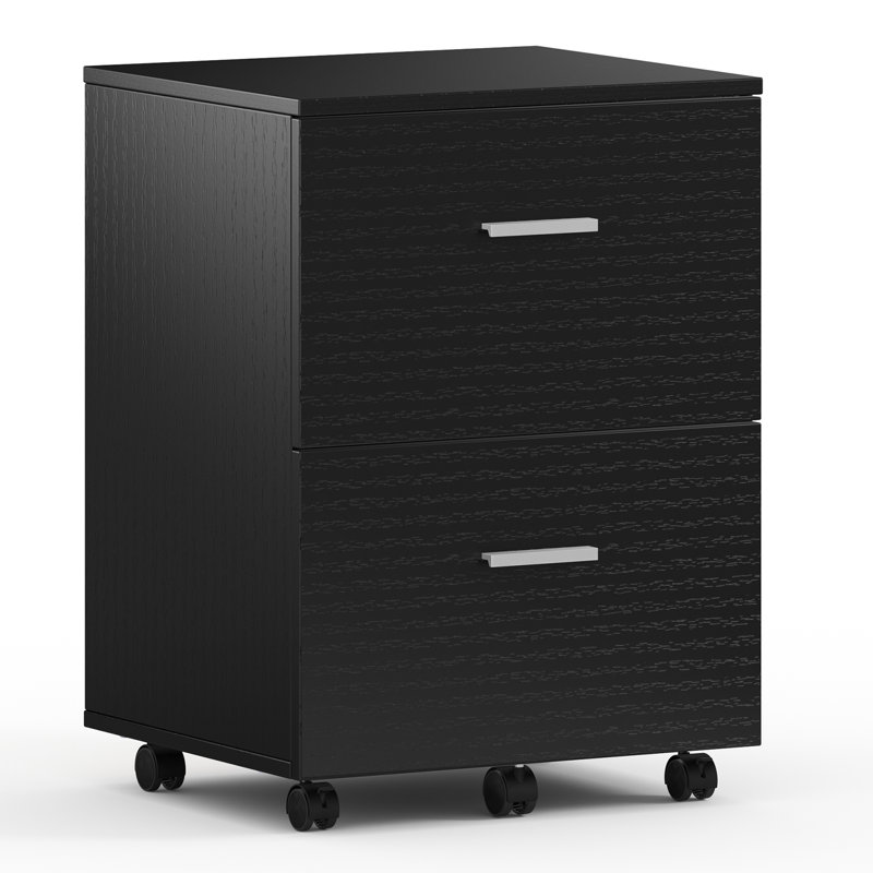 Demetres 2 Drawer Storage Drawer, Black