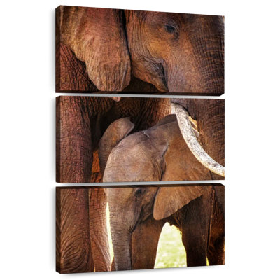 Brampt maman et bébé éléphant