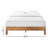 Amaryn Solid Wood Platform Bed-1342794879-1342794872