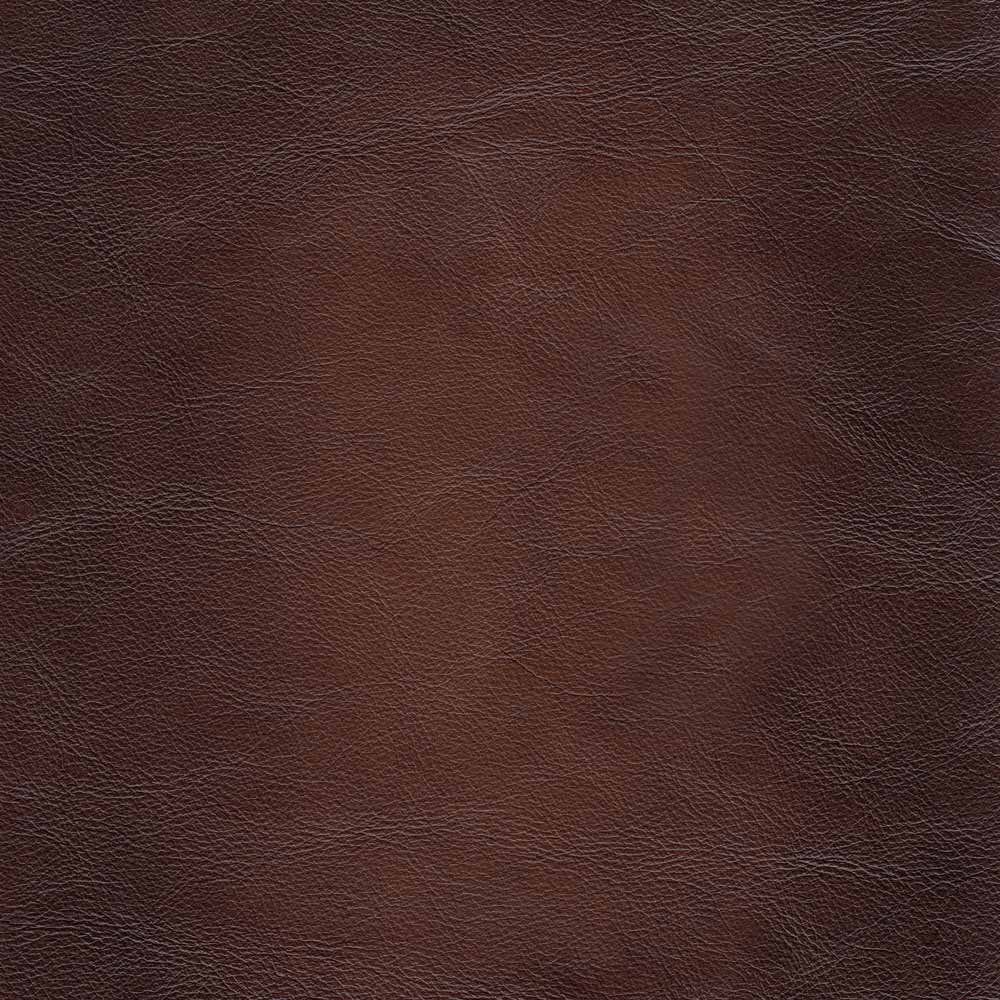 Alpert Genuine Leather Accent Chair, Brown Genuine Leather