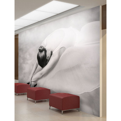 Ballet Dancer 270cm x 350cm Wallpaper
