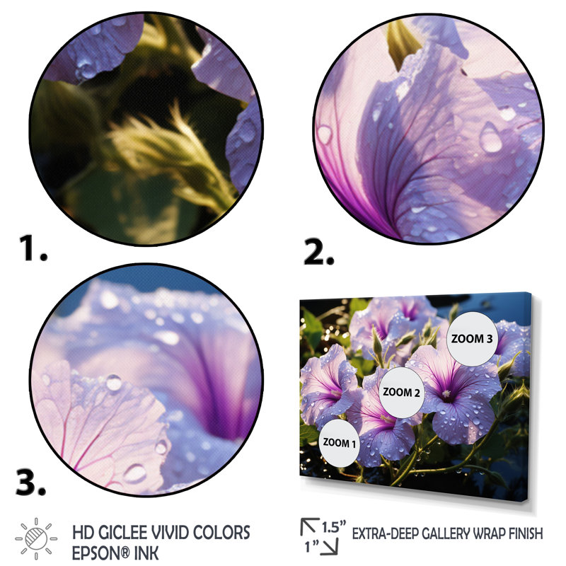 «Purple Morning Glory Graceful I», reproduction d'art sur toile, Cadre simple noir, H 30 po x l 40 po x P 1,5 po