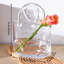 Vases en verre transparent avec poignée