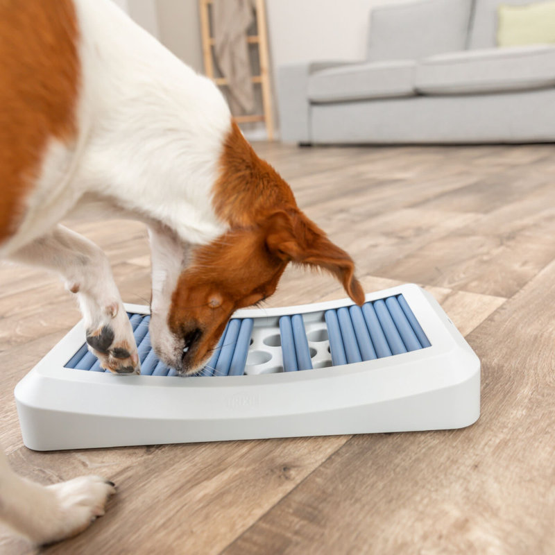 Planche d'activité pour chien