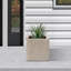 Pot de fleurs en béton Nidorf-394564363-394564361