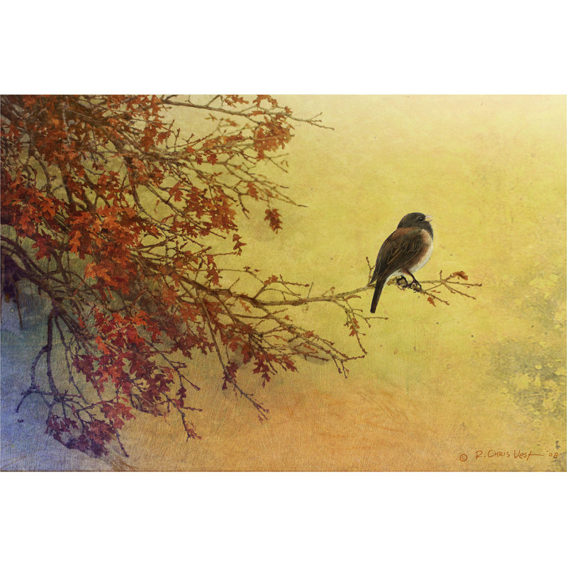 " Snow Oak Junco " Painting Print, 24" H x 36" W x 1.25" D