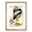 East Indies Fish Illustrations I by Louis Renard - Picture Frame Graphic Art Print-55537215-55537218