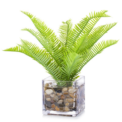 10 " H Faux Fern Plant in Glass Decorative Vase