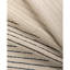 Les Vignes Stripe-1043424376