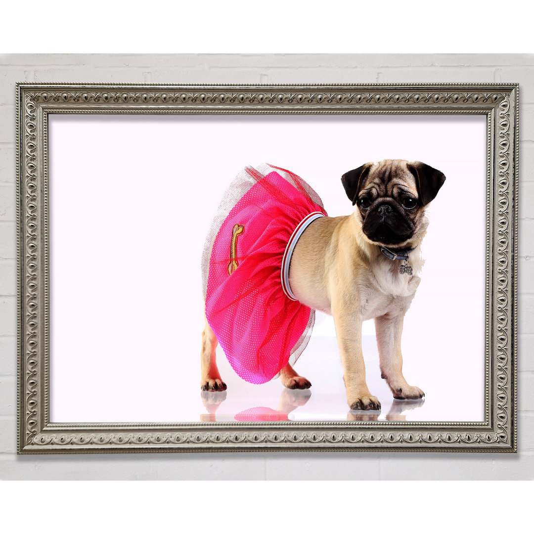 Mops Hund Tutu Gerahmter Druck