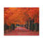 No Frame Print on Canvas-588420531