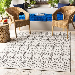 Colonial Mills Area Rugs You'll Love - Wayfair Canada