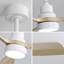 Ventilateur de plafond moderne 48 pouces avec 3 lumières-370317780-370317781