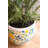 SET OF TWO CEMENT PITCHER AND VASE - LEMONS