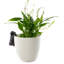 Cintre Labrador Pot Buddy