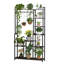 Plant Stand